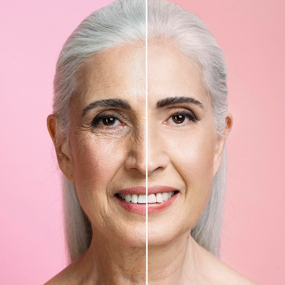 Facial Aesthetics Section 3