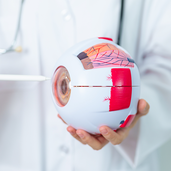 Ophthalmology Overview