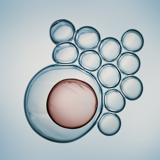 Regenerative medicine applications