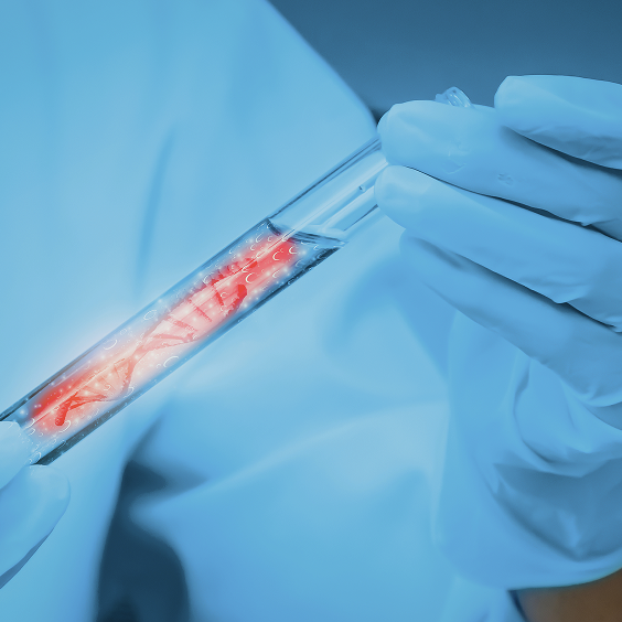 Stem cell potential applications